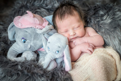 Dumbo toys and newborn photographer in Cockermouth
