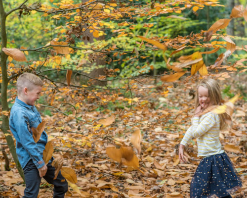 Leaf fight - Autumn family portraits Cumbria