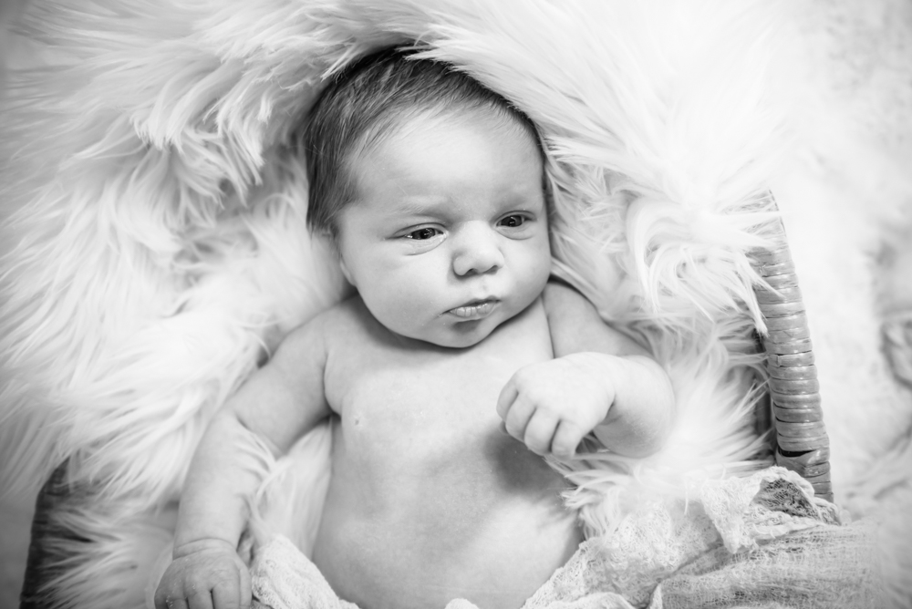 Baby Ronnie in basket, Wigton newborn portraits