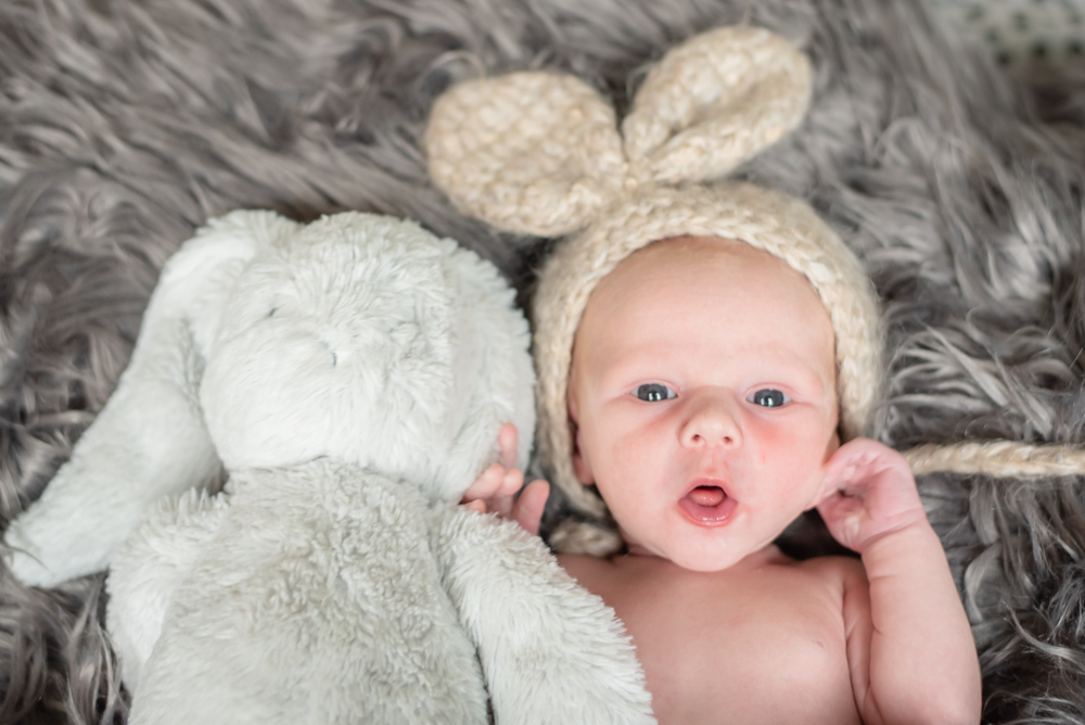 Baby in bunny hat with bunny teddy, newborn photographer Aspatria