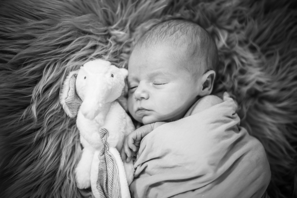 Baby sleeping next to teddy, newborn photographers Cumbria