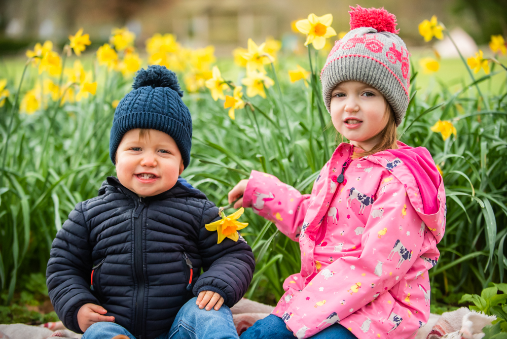 Siblings smiling in daffodils, Hope Park, Keswick portraits Lake District