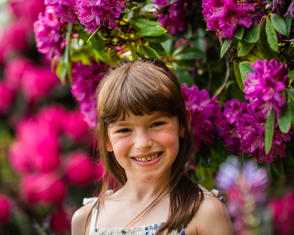 4 - Spring flower minis - Bitts Park - Carlisle - 10th May 2026 - Image 4